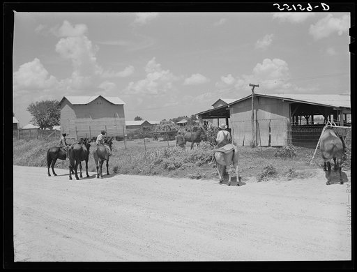 Knowlton Plantation. Perthshire, Mississippi Delta, Mississippi