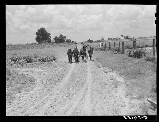 Knowlton Plantation. Perthshire, Mississippi Delta, Mississippi
