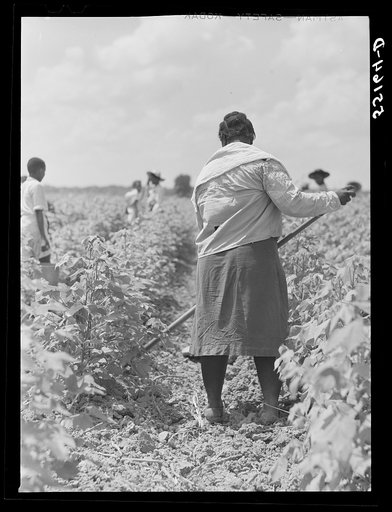 Knowlton Plantation. Perthshire, Mississippi Delta, Mississippi