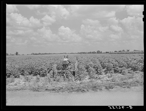 Knowlton Plantation. Perthshire, Mississippi Delta, Mississippi