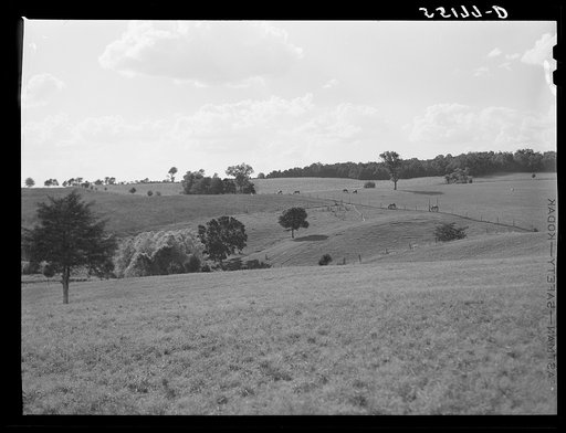 Untitled photo, possibly related to: Farm scene. Oldham County, Kentucky