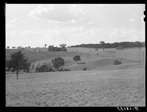 Farm scene. Oldham County, Kentucky