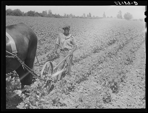 Untitled photo, possibly related to: King and Anderson Plantation. Clarksdale, Mississippi Delta, Mississippi