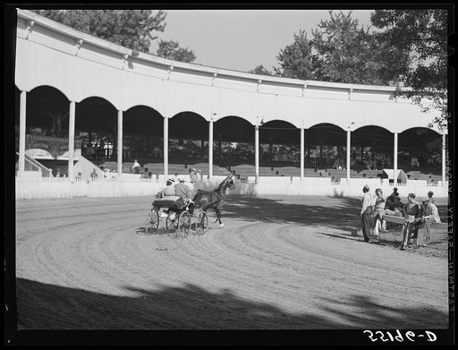 Untitled photo, possibly related to: Sulky or harness races. Horse show, Shelby County fair, Shelbyville, Kentucky