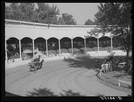 Sulky or harness races. Horse show, Shelby County fair, Shelbyville, Kentucky