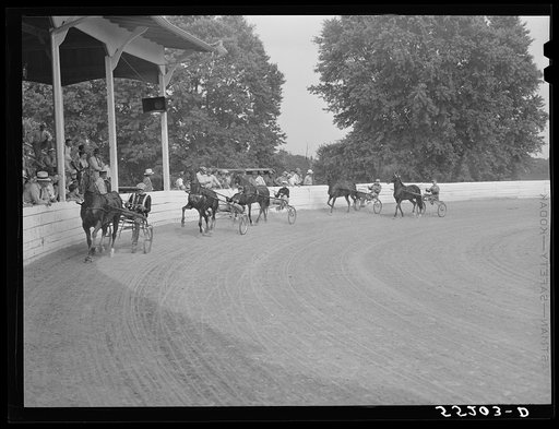 Sulky or harness races. Horse show, Shelby County fair. Shelbyville, Kentucky