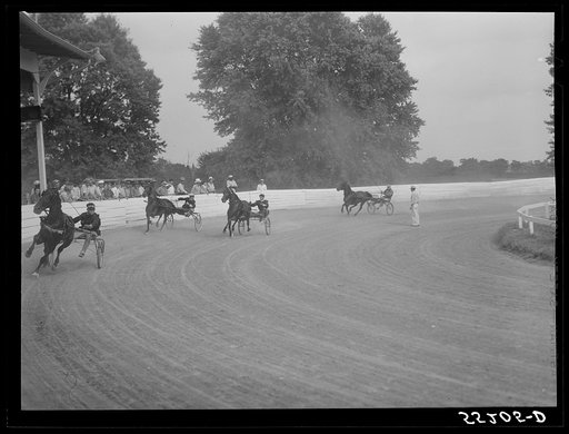 Untitled photo, possibly related to: Sulky or harness races. Horse show, Shelby County fair. Shelbyville, Kentucky