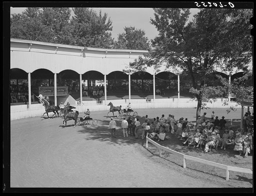 Horse show at Shelby County fair. Shelbyville, Kentucky