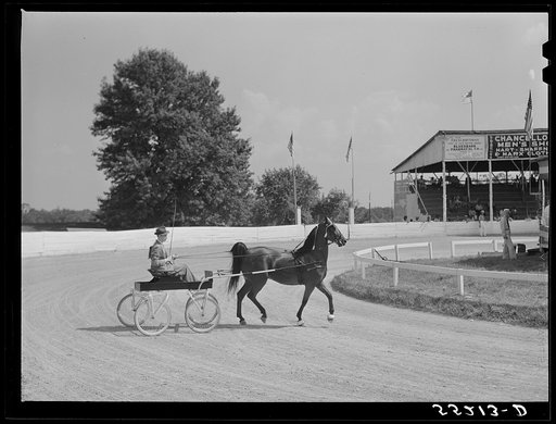 Horse show at Shelby County fair. Shelbyville, Kentucky