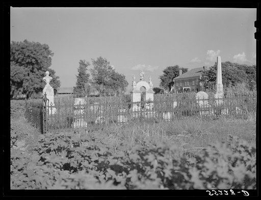 Old home and family graveyard on King and Anderson Plantation in center of cotton field near Clarksdale. Mississippi Delta, Mississippi