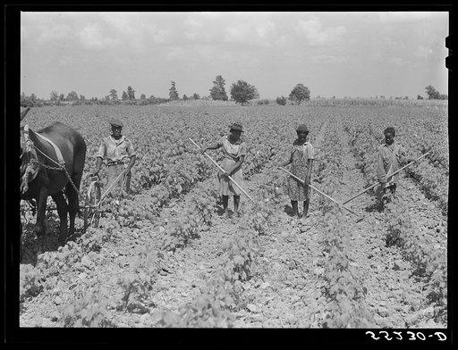 Untitled photo, possibly related to: Knowlton Plantation. Pertshire, Mississippi Delta, Mississippi