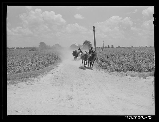 Knowlton Plantation. Perthshire, Mississippi Delta, Mississippi