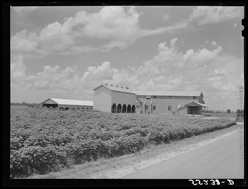 Modern cotton gin and dryer on King and Anderson Plantation near Clarksdale. Mississippi Delta, Mississippi