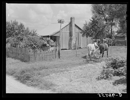 Untitled photo, possibly related to: Knowlton Plantation, Perthshire. Mississippi Delta, Mississippi