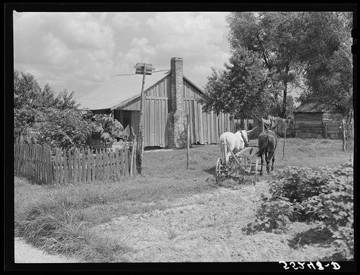 Knowlton Plantation, Perthshire. Mississippi Delta, Mississippi