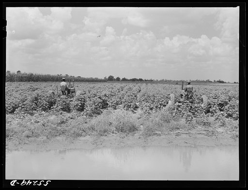 Knowlton Plantation, Perthshire. Mississippi Delta, Mississippi