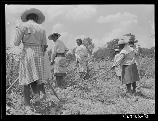 Untitled photo, possibly related to: Knowlton Plantation, Perthshire. Mississippi Delta, Mississippi