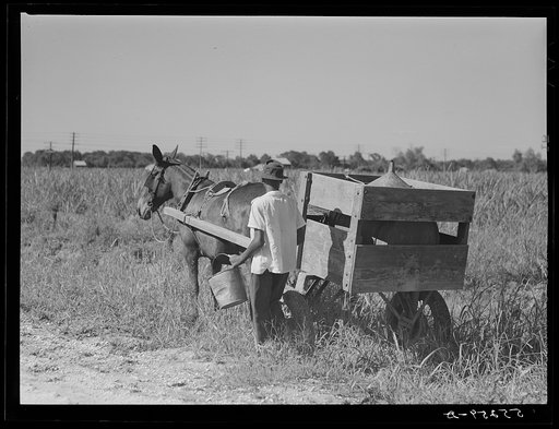 Terrebonne Project. Schriever, Louisiana