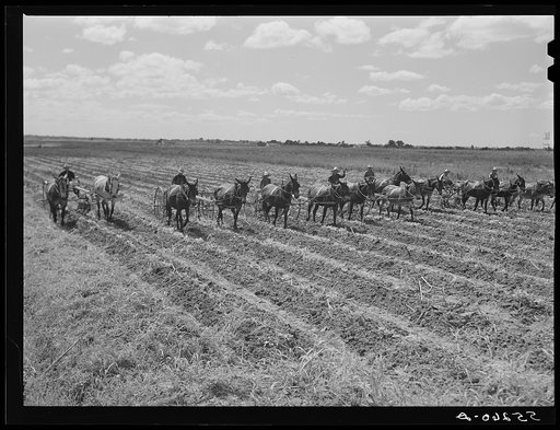 Terrebonne Project. Schriever, Louisiana