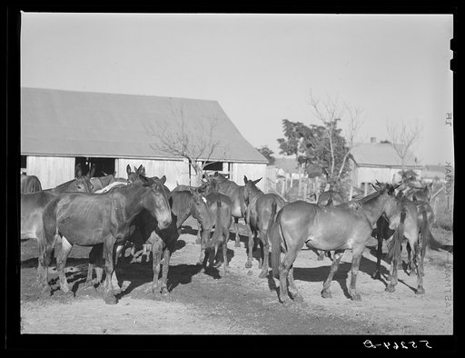 Untitled photo, possibly related to: Terrebonne Project. Schriever, Louisiana
