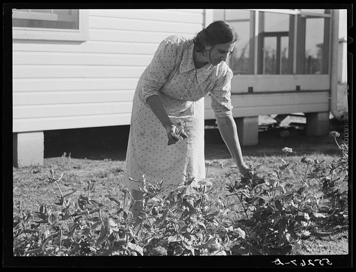 Untitled photo, possibly related to: Terrebonne Project. Schriever, Louisiana  