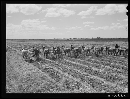 Terrebonne Project. Schriever, Louisiana