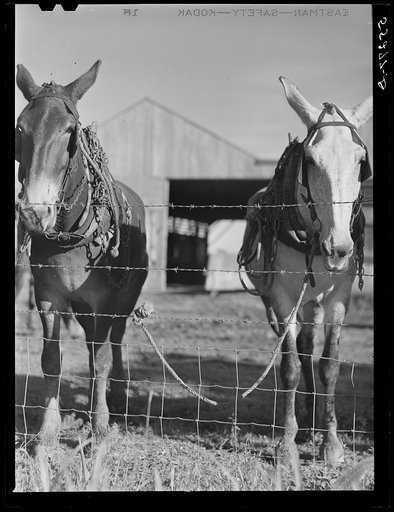 Untitled photo, possibly related to: Terrebonne Project. Schriever, Louisiana