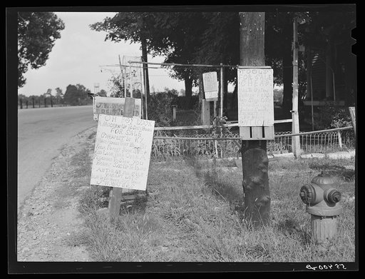 Signs in front of home near Anchorage, Kentucky