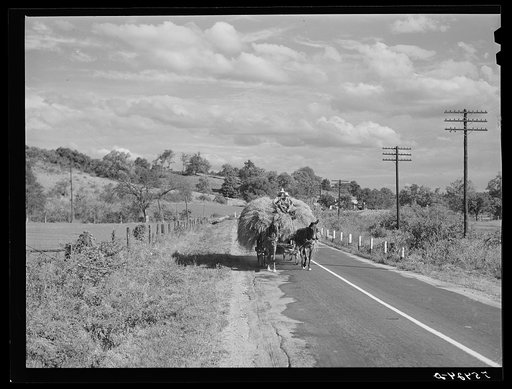 Road and landscape near Bardstown, Kentucky