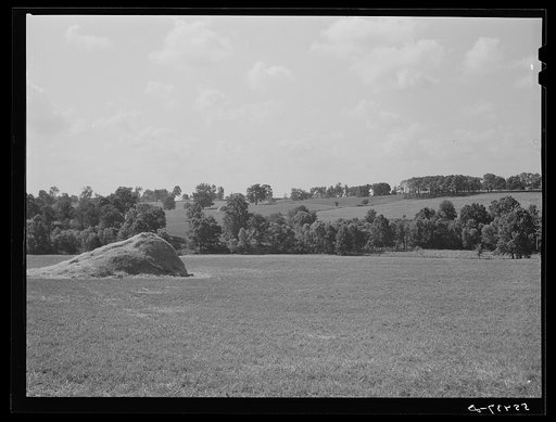 Farm scene. Oldham County, Kentucky