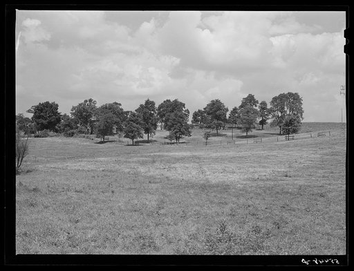 General view of Russell Spear's farm near Lexington, Kentucky