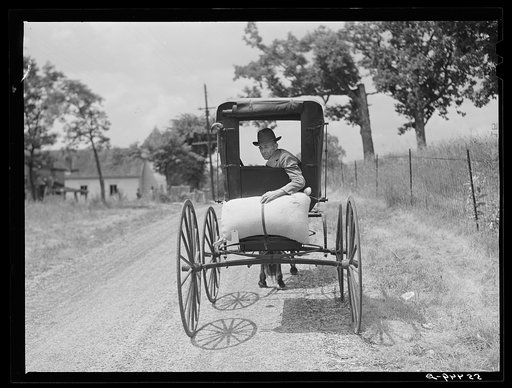 Farmer taking home sack of feed on the back of his buggy. Saturday afternoon near Lexington, Kentucky