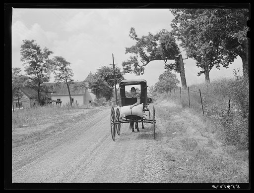 Farmer taking home sack of feed on the back of his buggy. Saturday afternoon near Lexington, Kentucky