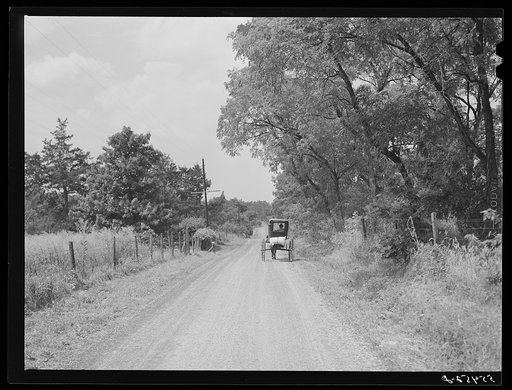 Farmer taking home sack of feed on the back of his buggy. Saturday afternoon near Lexington, Kentucky