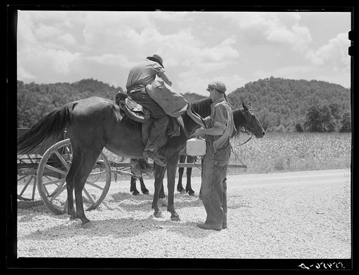 Rural mailman who has brought the mail to the crossroads transfers letters and packages to another postman's saddlebags. This rider takes the mail further up the side road and creek beds where no wagon or car can go. In the mountains section near Morehead, Kentucky