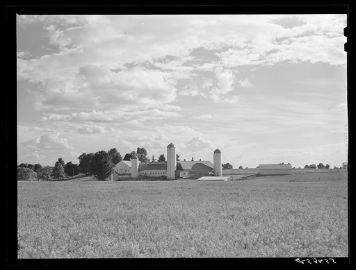 Dairy farm in Jefferson County, Kentucky