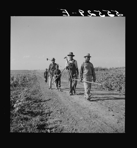 King and Anderson Plantation, Clarksdale. Mississippi Delta, Mississippi