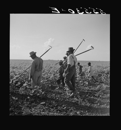 King and Anderson Plantation, Clarksdale. Mississippi Delta, Mississippi