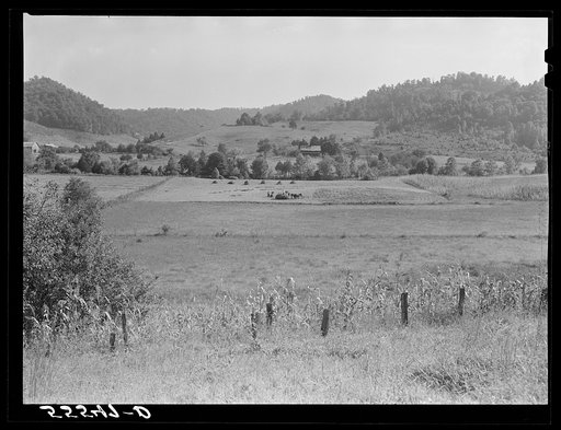 Haying near Jackson, Kentucky