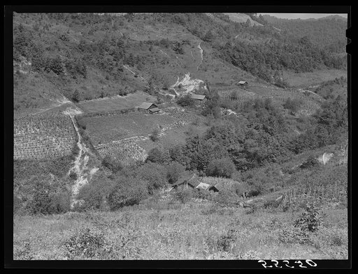 General landscape near Hyden, Kentucky, showing mountain cabins, sheds, and cornfields