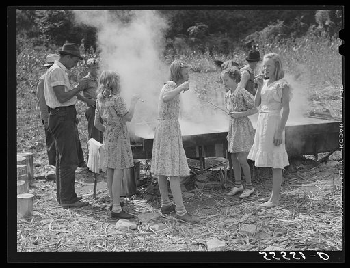 In the early fall many of the children remain away from school on "syrupping off" days. Sorghum syrup is boiled down from the cane sap by one of the men from the neighborhood who does this work for different members of the communities, taking a share of the syrup for his labor. On the highway betwee