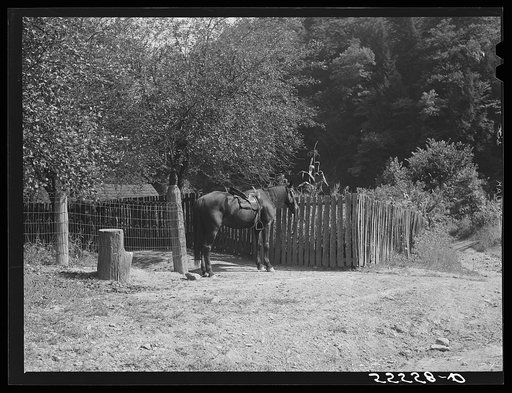 Mounting block and horse by mountain family home. Up Burton's Fork, Kentucky River near Jackson, Kentucky