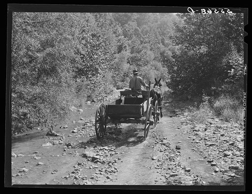 Mountaineers hauling coal up the creek bed to their homes. Morris Fork, Kentucky River, near Jackson, Kentucky