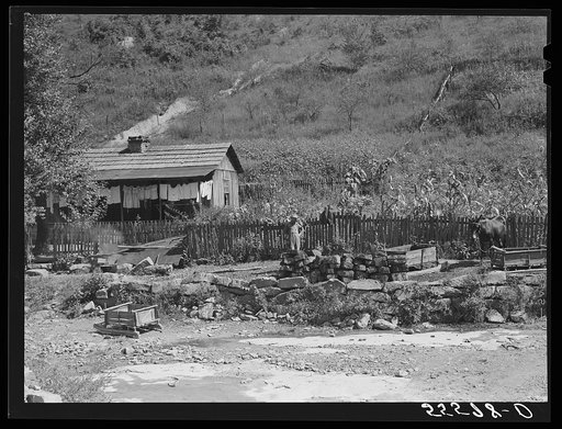 Kennel coal "raised" by mountaineer in the hill back of his home for winter fuel. Breathitt County, Kentucky