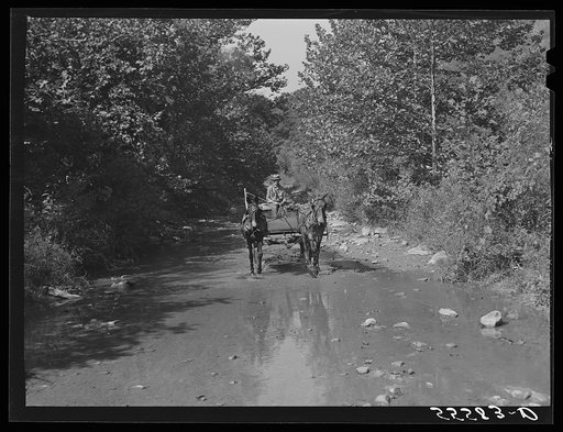 Mountaineers hauling coal up the creek bed to their homes. Morris Fork, Kentucky River, near Jackson, Kentucky