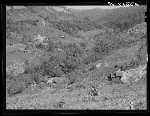 General landscape near Hyden, Kentucky, showing mountain cabins, sheds and cornfields