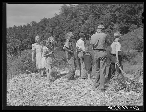 In the fall of the year during the time of "syrupping off" operations many children stay home from school to eat the sorghum when it is boiled down.  At a mountaineer's home on the road between Jackson and Campton, Kentucky