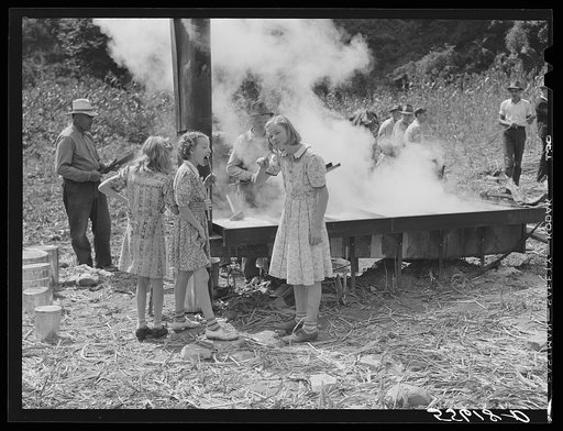 In the early fall during "syrupping off" time many of the children stay home from school to eat the freshly boiled down sorghum cane syrup. The cook usually goes to the various farms in the neighborhood and for his work takes a share of the syrup. On the highway between Jackson and Campton, Kentucky
