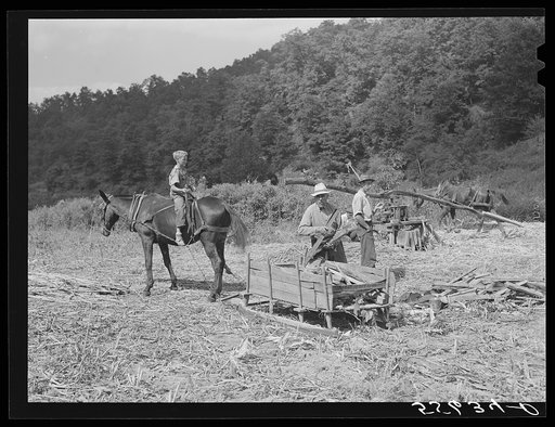 Mountaineer's son with mule and sled which hauled the wood across the creek to be used in boiling down the sorghum cane sap into syrup. On the highway between Jackson and Campton, Kentucky