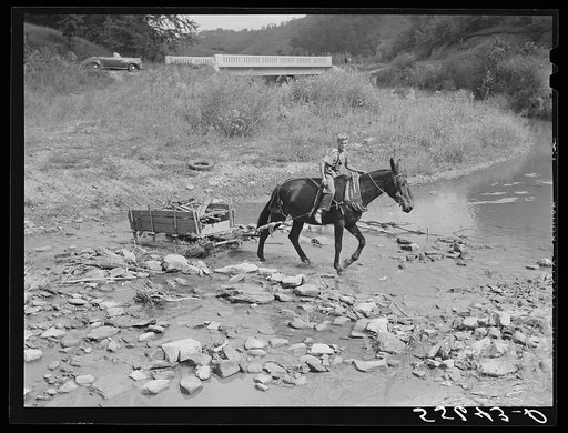 Mountaineer's son hauling wood across the creek with a mule and sled. It is to be used in boiling down the sorghum cane sap into syrup. On the highway between Jackson and Campton, Kentucky